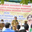 Gubernur Erzaldi Resmikan Program Padat Karya Penanaman Mangrove di Kurau Timur