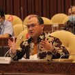 Komisi IV DPR RI Dukung Gubernur Erzaldi Jaga Babel Dari Kapal Isap Produksi