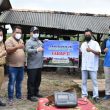 Target Swasembada Daging Sapi Bangka Belitung Optimis Terwujud