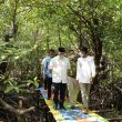 Taman Bakau Dalam Kota, Salah Satu Kesiapan Wisata Alternatif Belitung