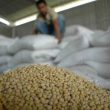 Anggota Komisi 2 DPRD Jabar Faizal Hafan Farid Sarankan Pemerintah Produksi Kedelai Dalam Negeri