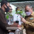 Gubernur Beri Bantuan 1000 Pohon Bibit Alpukat Roro