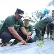 PJ Gubernur Babel Ajak Masyarakat Menanam