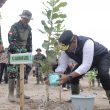PJ Gubernur Safrizal Ajak Warga Babel Tanam Pohon di Lahan Kritis