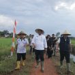 Subsidi Pupuk Naik! Pj Gubernur Safrizal : Apresiasi Untuk Mentan Turut Majukan Pertanian Babel