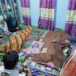 Bencana Pohon Tumbang, Pemkot Pangkalpinang Kunjungi Rumah Korban