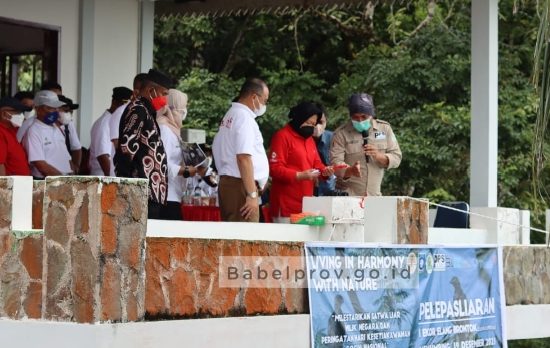 Gubernur Ajak Mensos Tri Rismarini Kunjungi Bukit Menumbing Muntok